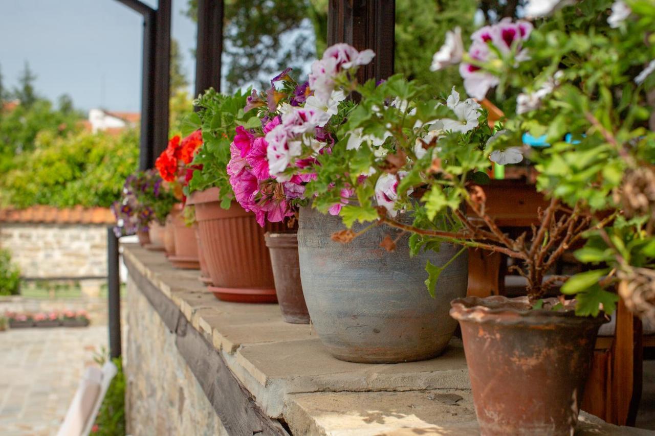 Villa Sol Σάνι Μπιτς Εξωτερικό φωτογραφία